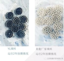 裕隆環(huán)保 裕龍活性生物填料，十六載創(chuàng)新路，匠心鑄就水處理新引擎
